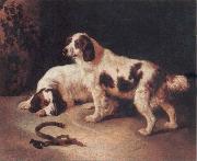 Brittany Spaniels